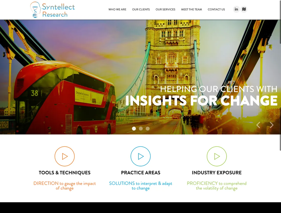 Syntellect Research — original website design